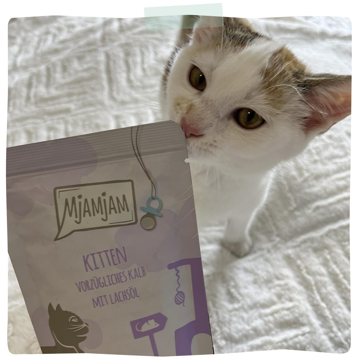 mjamjam-premium-nassfutter-f-r-katzen-kitten-gute-pute-mit-lachs-l-200-g image 6