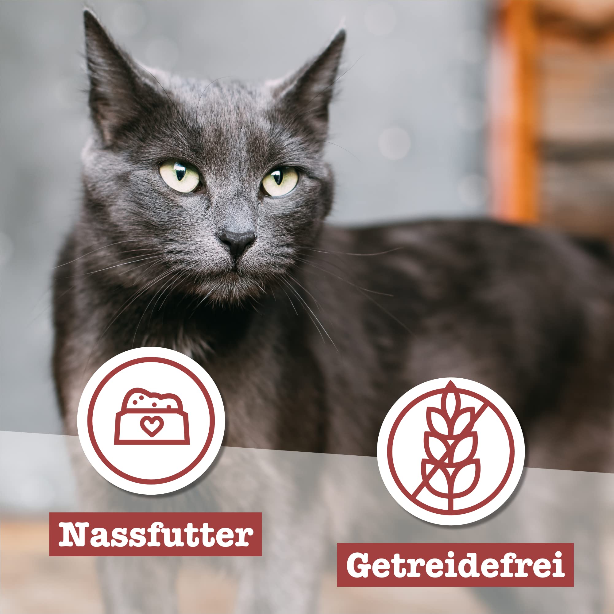 catz-finefood-classic-senior-huhn-nassfutter-f-r-ltere-katzen-16-x-85-g-beutel image 5