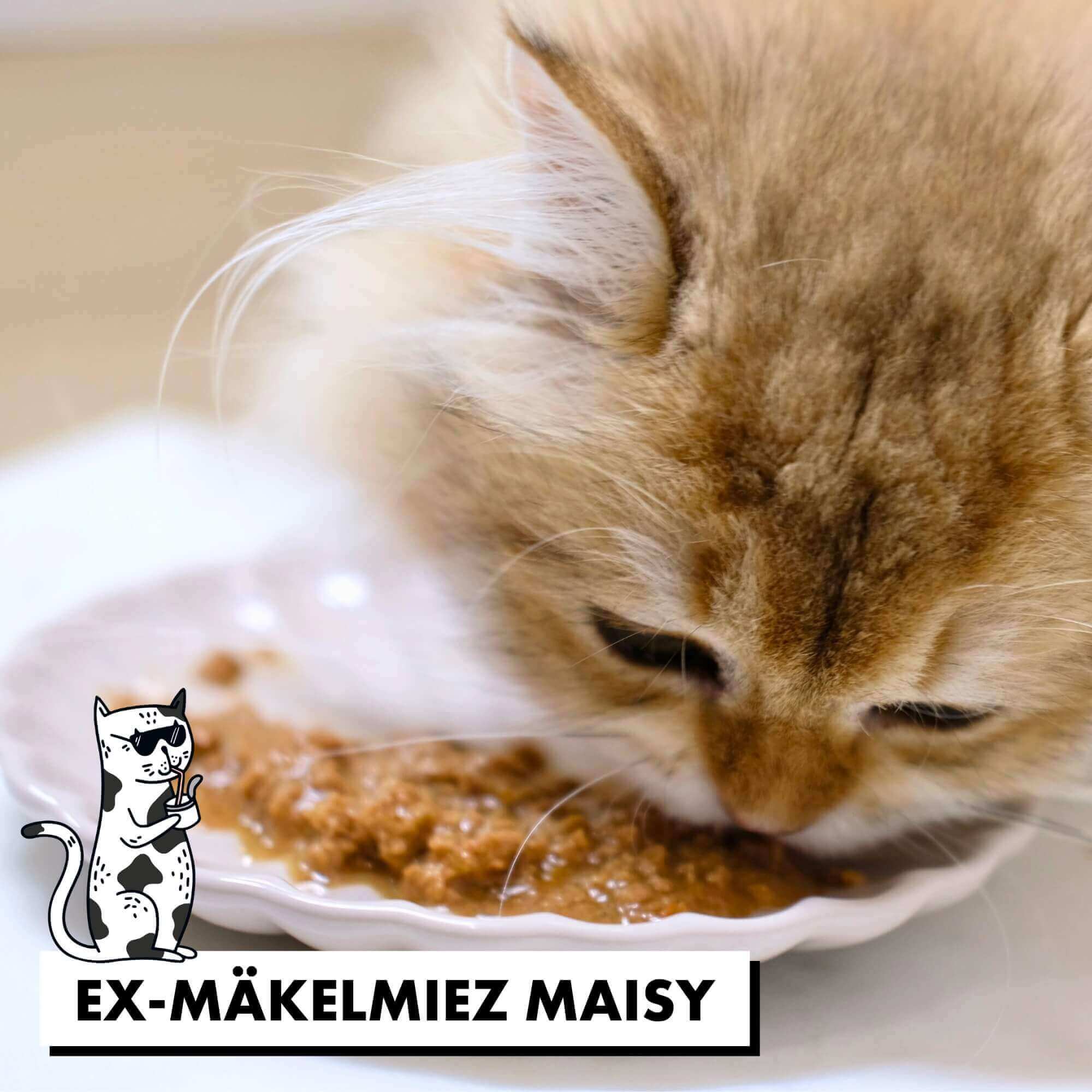 strayz-bio-nassfutter-katze-in-so-e-probierpaket-12x85g image 5