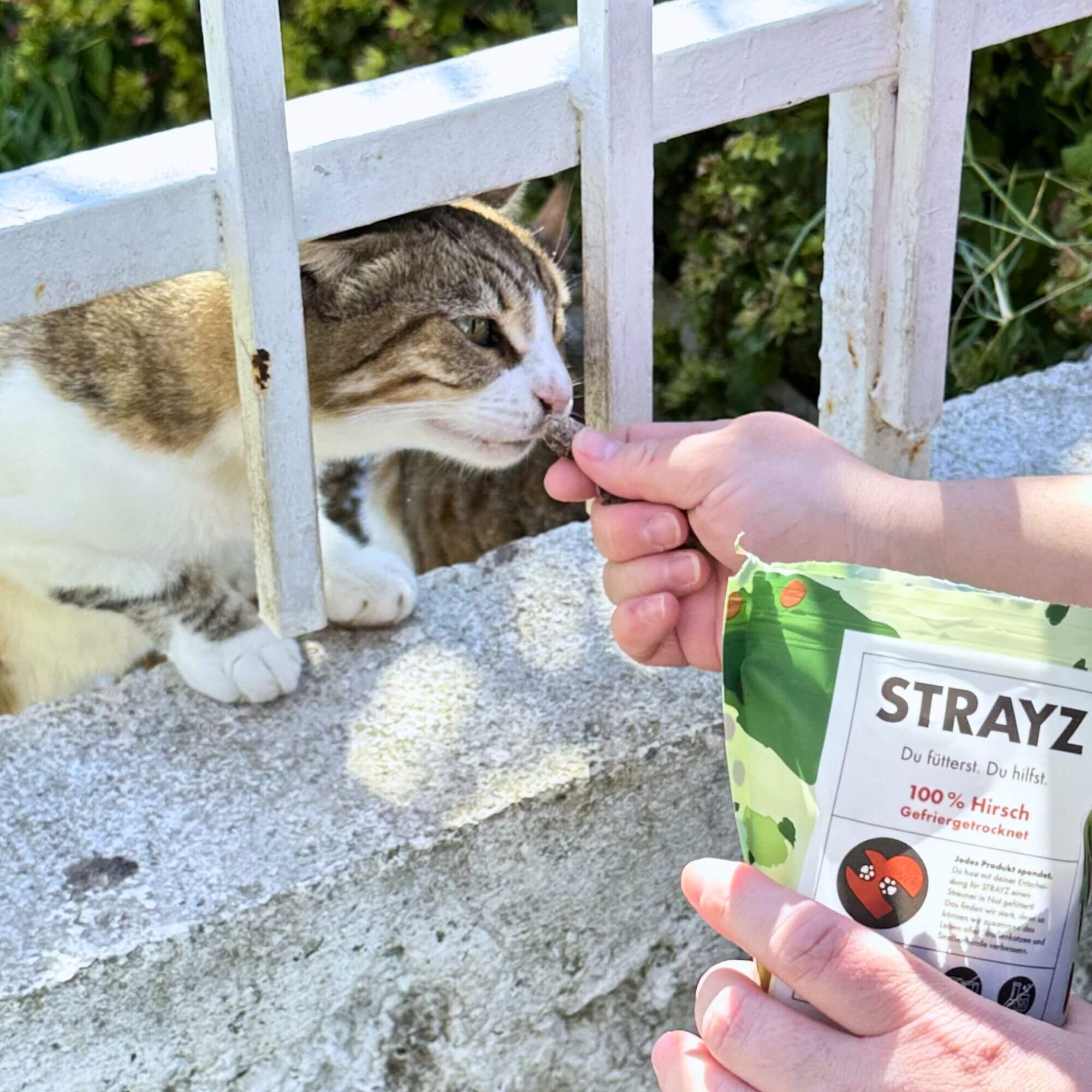 strayz-leckerli-100-hirsch-gefriergetrocknet-f-r-hund-katze image 7