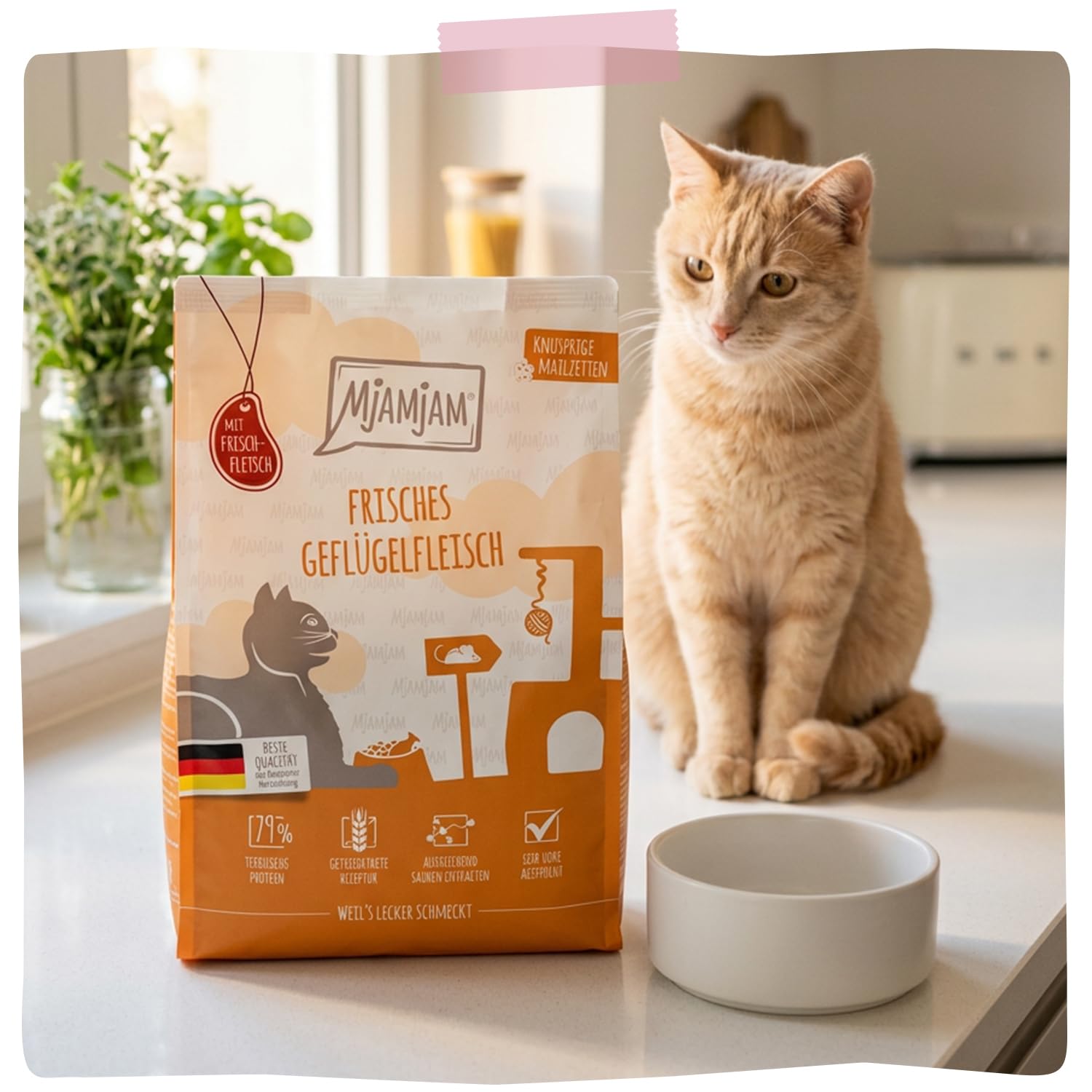 mjamjam-knusprige-mahlzeiten-kitten-trockenfutter-gefl-gel-300g image 6