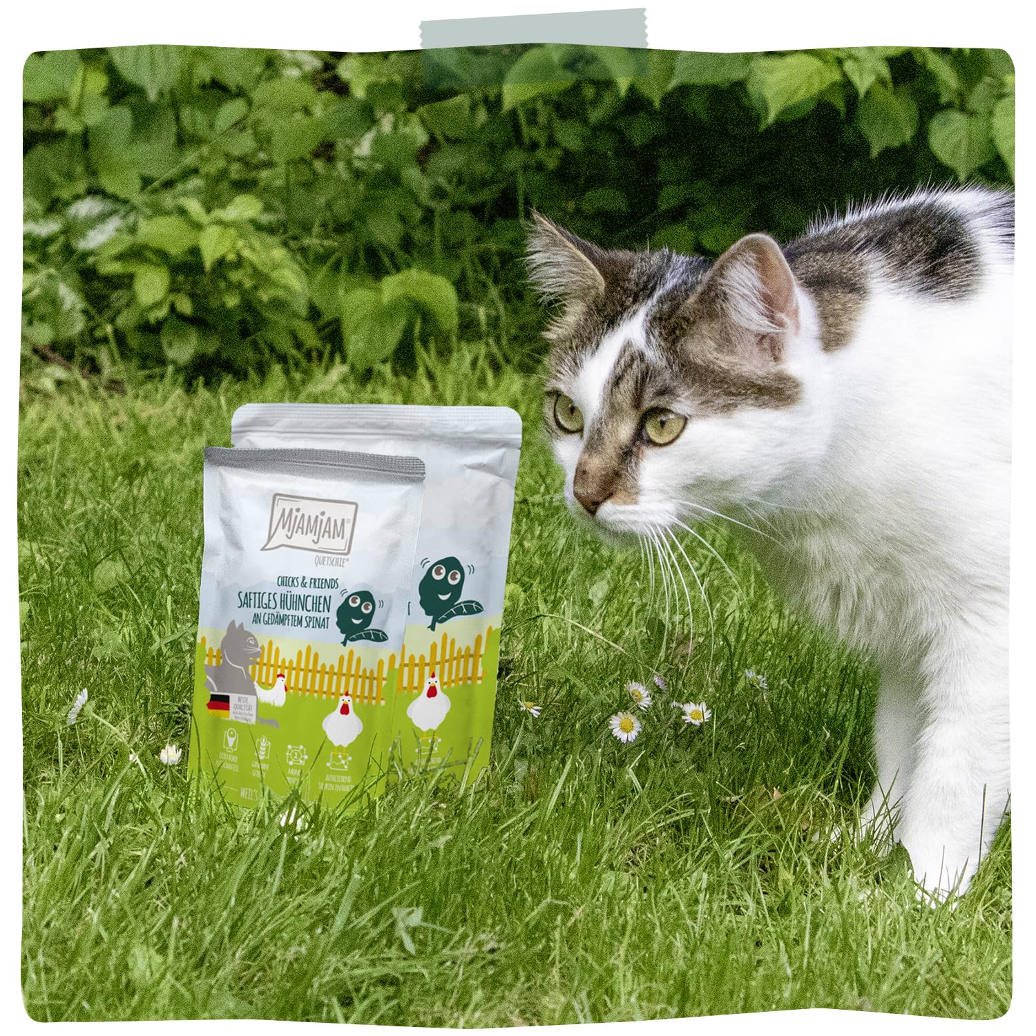 mjamjam-premium-nassfutter-f-r-katzen-saftiges-h-hnchen-an-spinat-6-x-800-g image 6