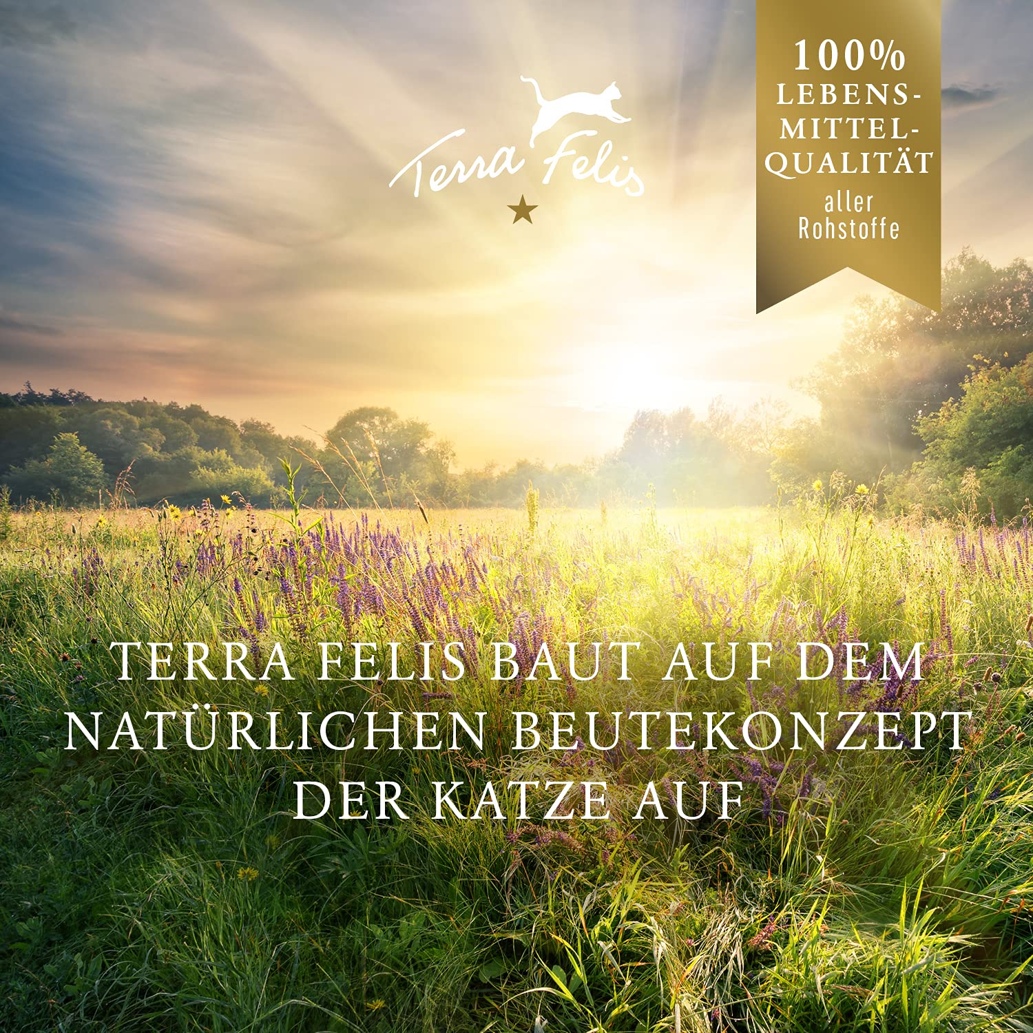 terra-felis-famousse-nassfutter-f-r-katzen-pute-12-x-200g image 3